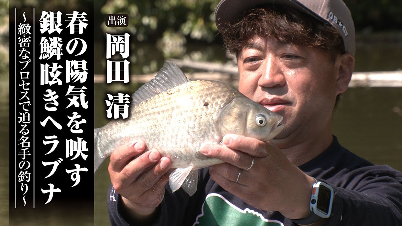 #617 春の陽気を映す銀鱗眩きヘラブナ～緻密なプロセスで迫る名手の釣り～