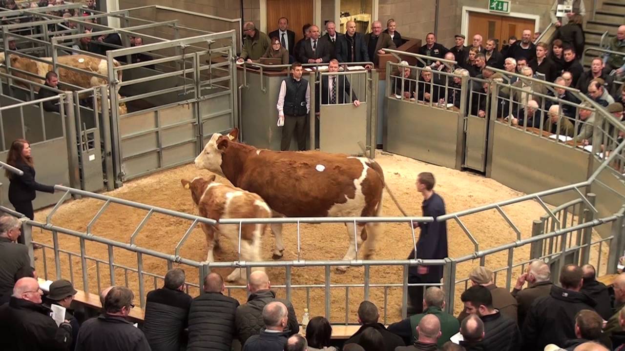 Woodhall Stirling Dispersal (top 5 prices) October 18th 2016