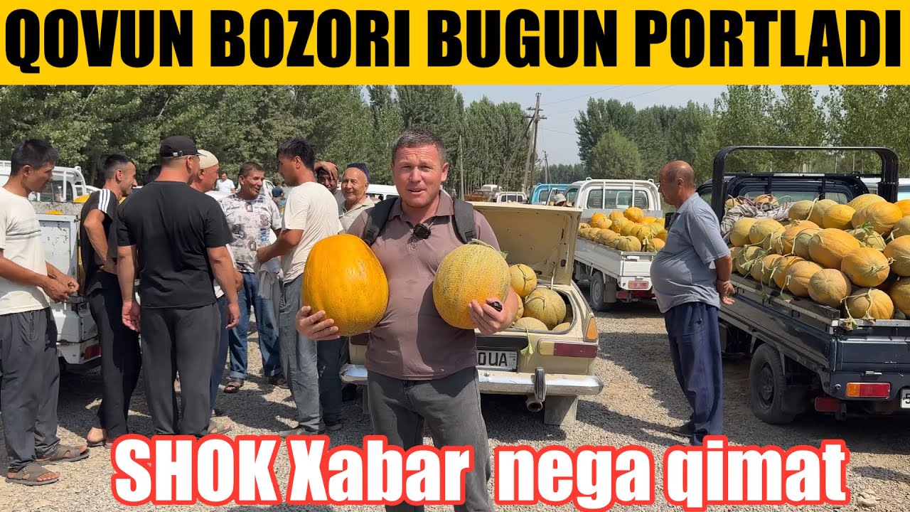 Bugungi Qovun bozorida narhlar arzon 28 июля 2025 г.