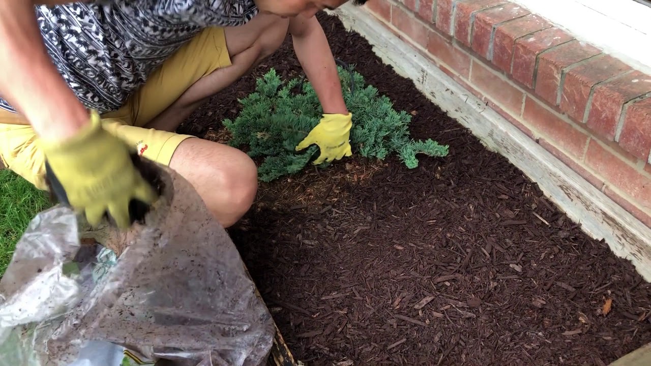 鋪Mulch的常見三個錯誤 3 Common Mistakes When Laying Mulch