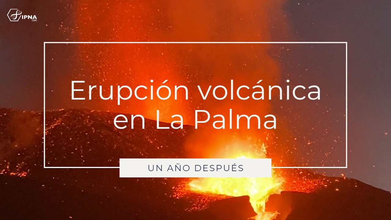 Erupción volcánica en La Palma: un año después
