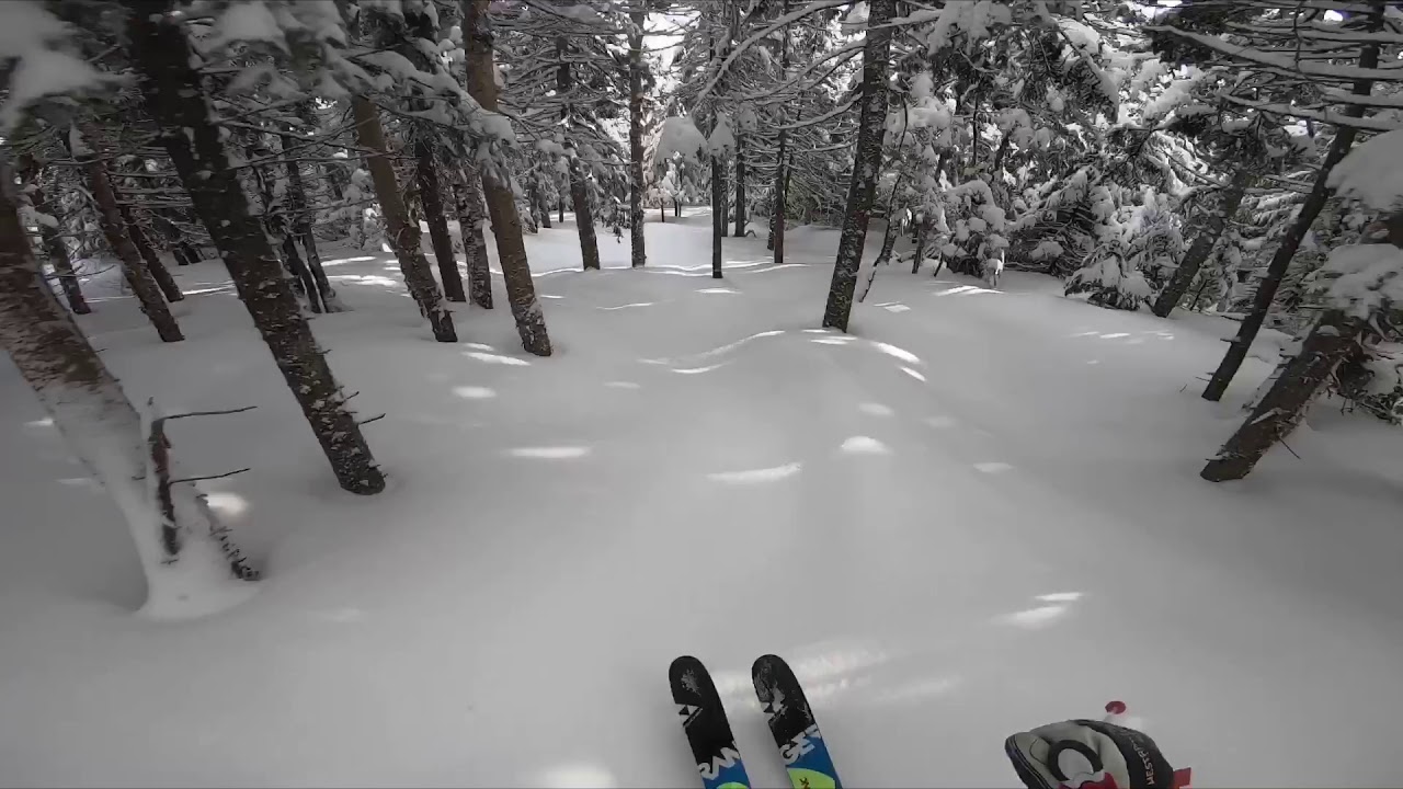 Sugarbush VT Tree Skiing (Exterminator Woods) 1-27-2019