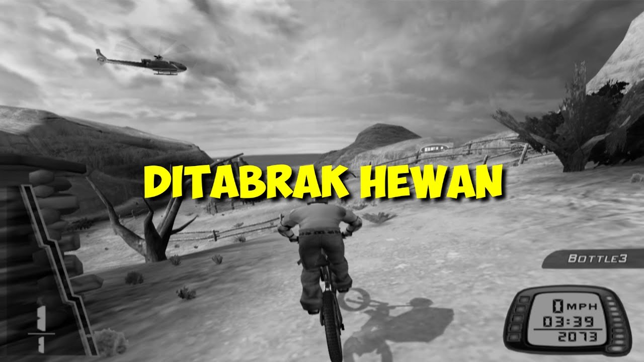 HAL NGESELIN DOWNHILL PS2
