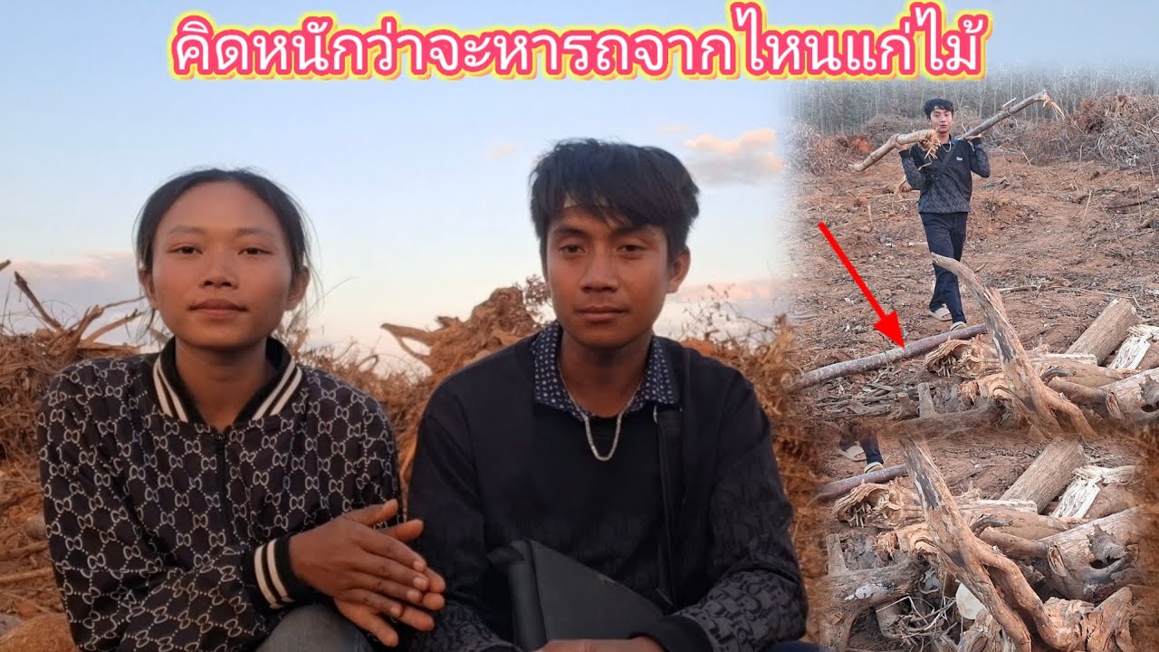 คิดหนักเรื่องไม่มีรถไถแก่ไม้ มาดูไม้ที่เก็บไว้ 24 มกราคม ค.ศ. 2026