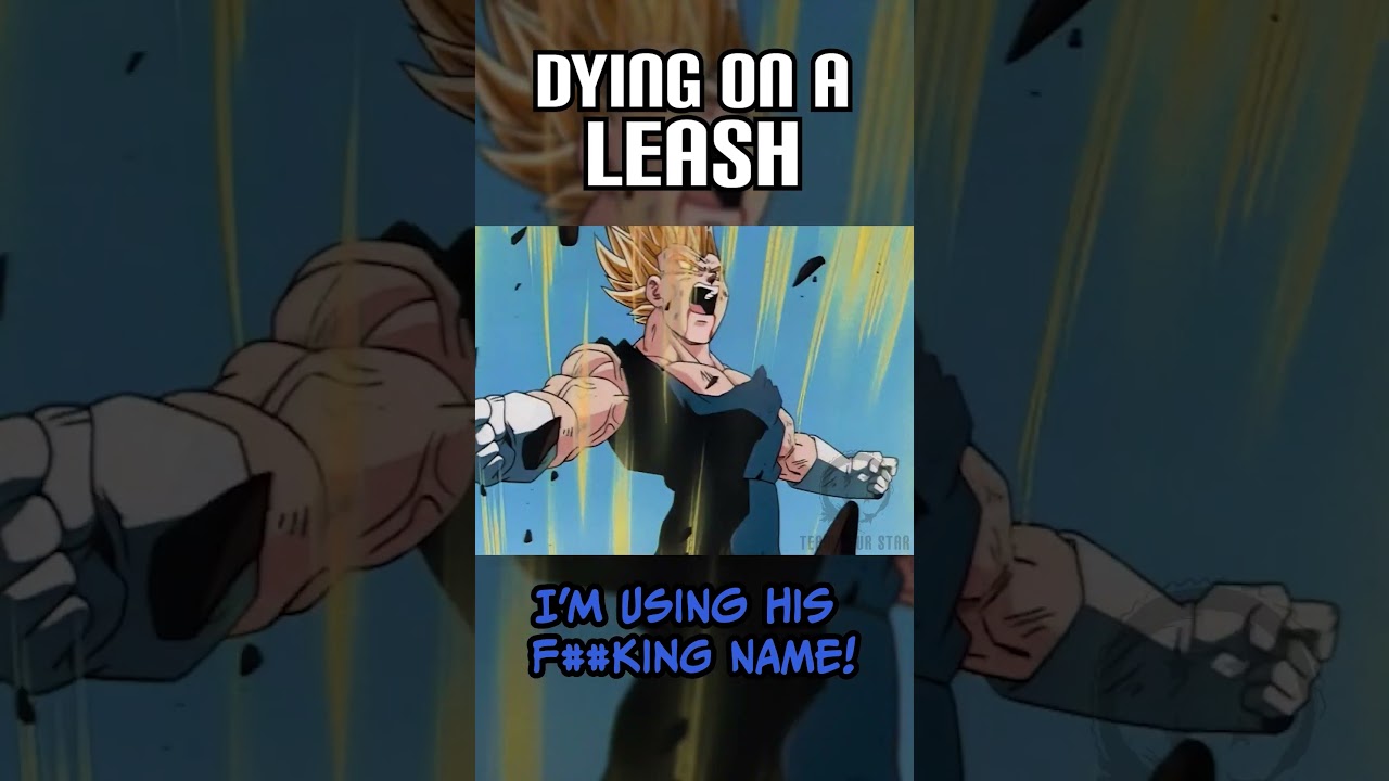 Dying On A Leash | Buu Bits (DragonBall Z Abridged)