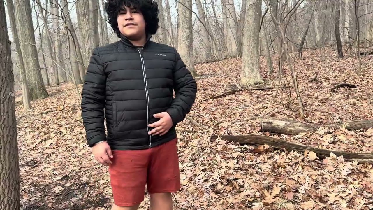 Un dia en el bosque con mis hijos 
