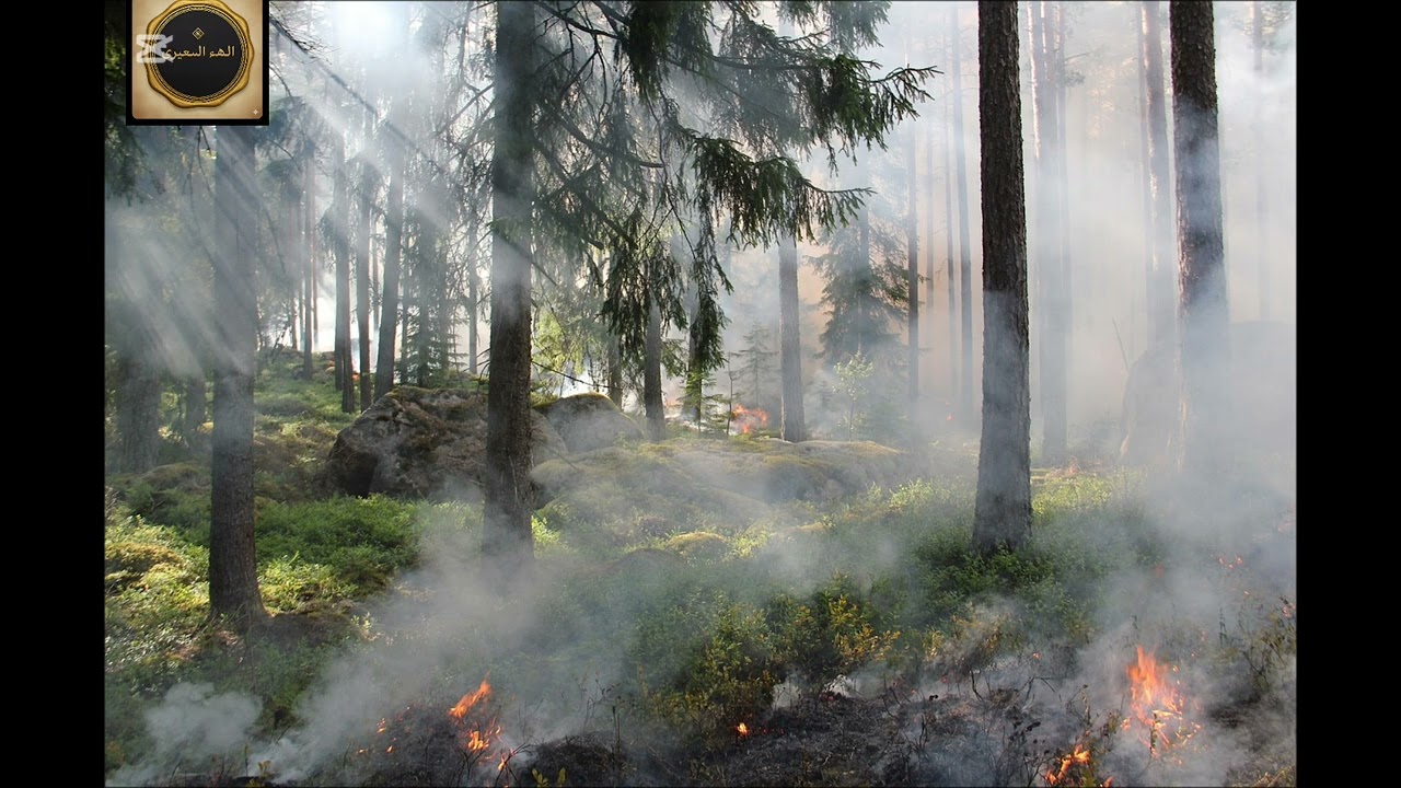 حصن المنزل سورة البقرة كاملة بصوت القارئ فارس عباد- تلاوة عطرة