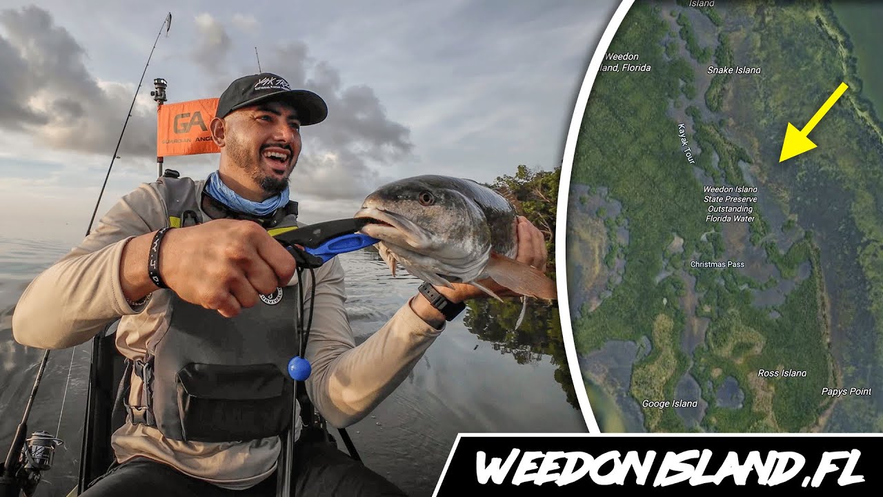 Can You Still Catch Fish at Weedon Island? | Kayak Fishing in St. Petersburg, FL