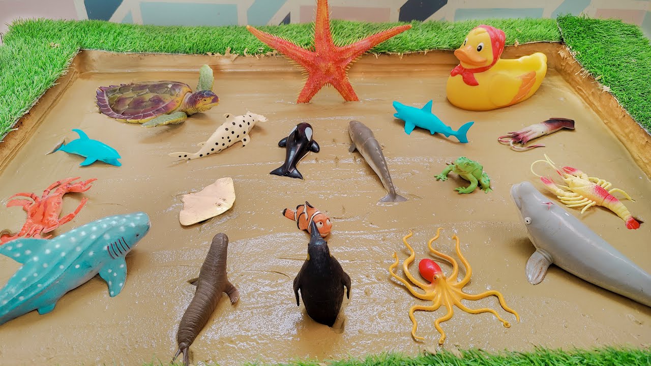 The Unexpected Adventures of Sea Animals and Ocean Creatures in the Sandbox