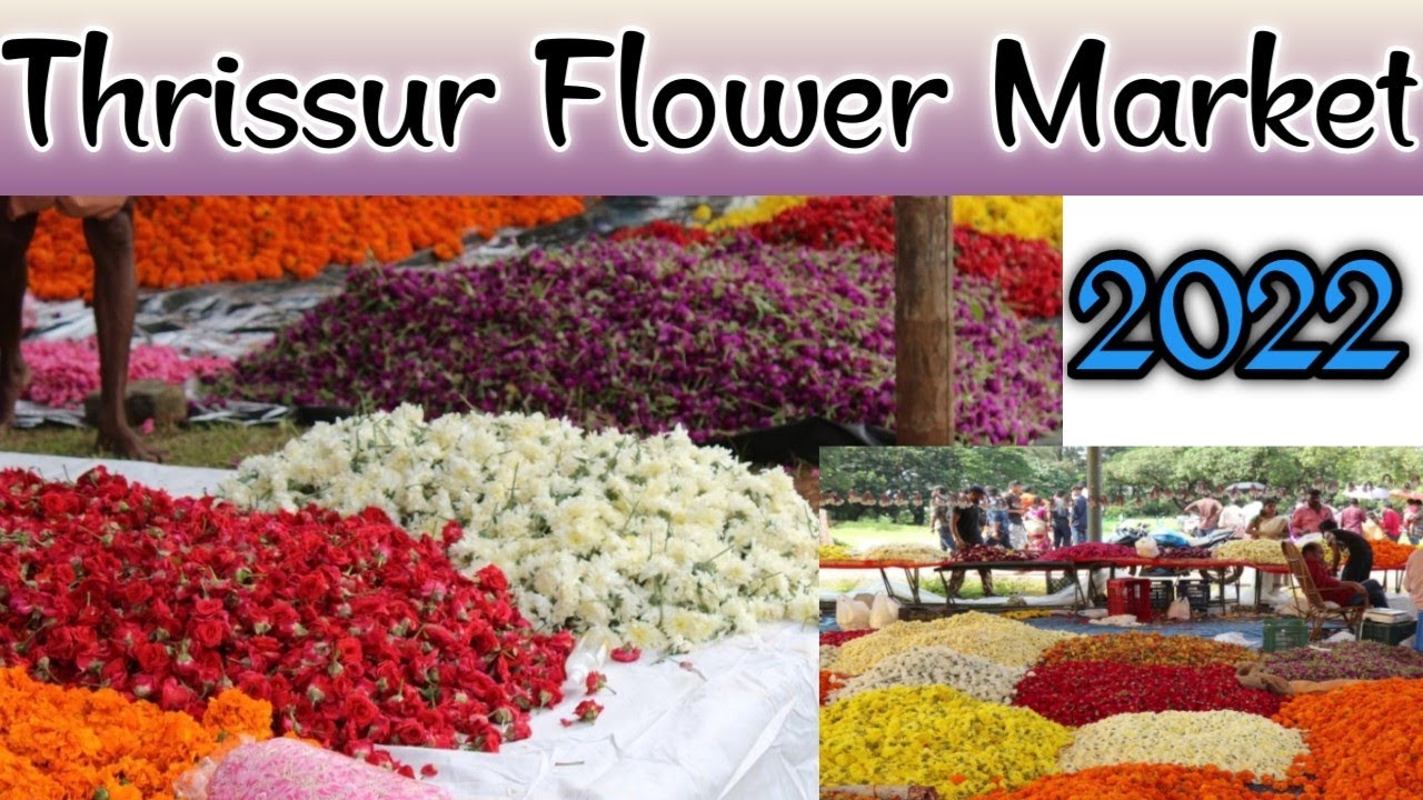 Thrissur Onam Flower Market 2022/Flower market in Thrissur/Thekkinkadu maidanam/HennaSiyad