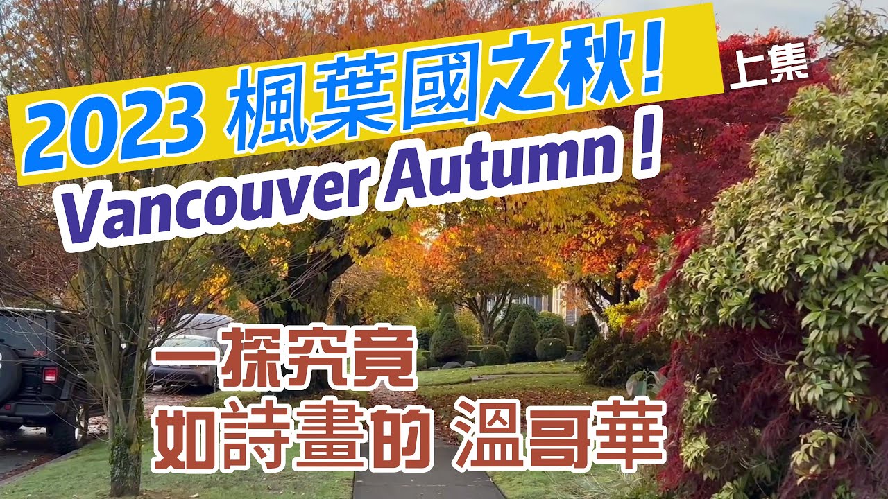 2023 Vancouver Autumn  ,How beautiful it is ! 溫哥華之秋_楓葉紅了  (上集)