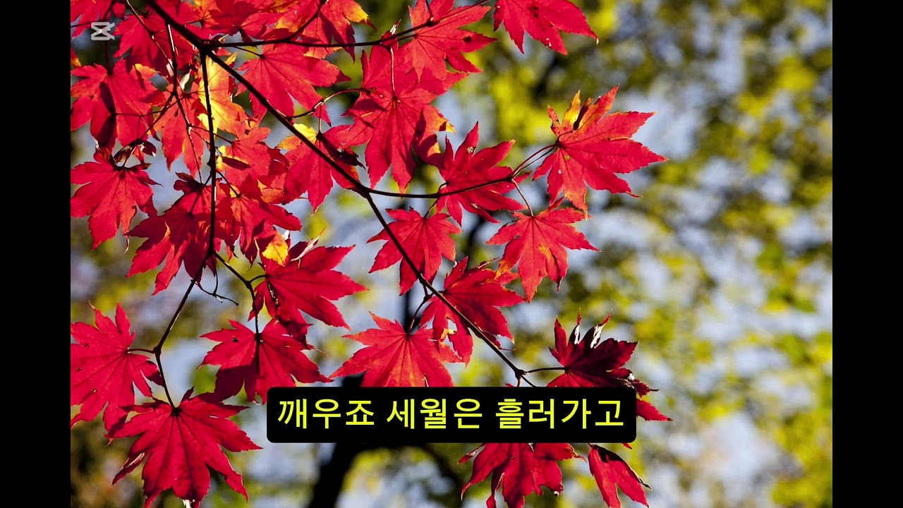 🎵 ​곡명: 붉은 편지 (문수사에서)​#문수사에서 #단풍나무아래 #그리움의기록 #마음의고향  #풍경소리  #고창가볼만한곳 #단풍명소  #국내여행추천​#창작곡 #고창애음악채널 