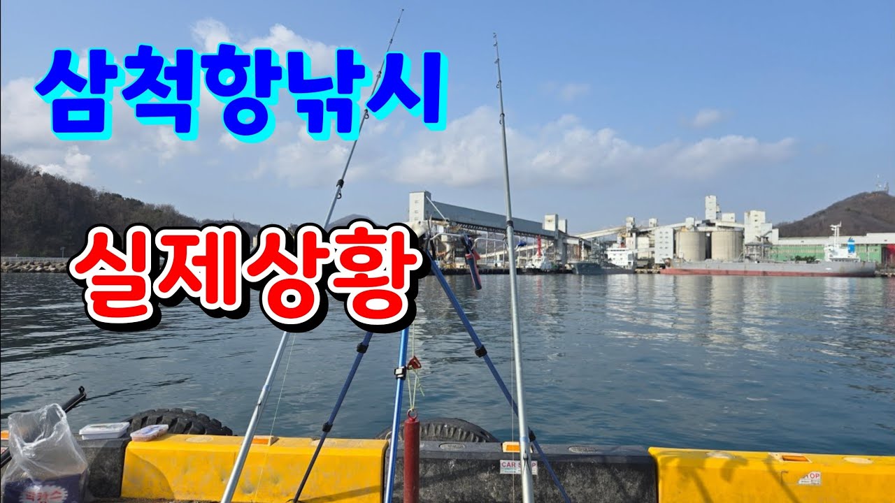 삼척항 낮 낚시 실제 실황!
