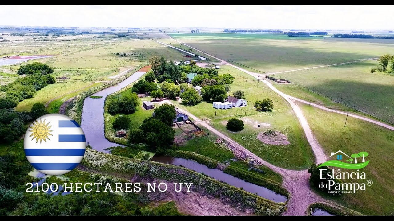 FAZENDA À VENDA NO URUGUAI COM 2100 HA