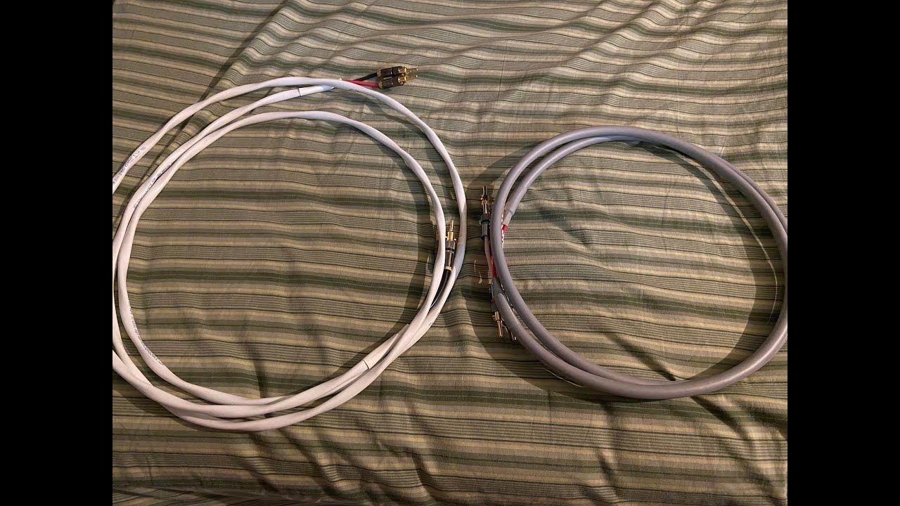 Blue Jeans Cable Ten White and Canare 4S11 Speaker Cables