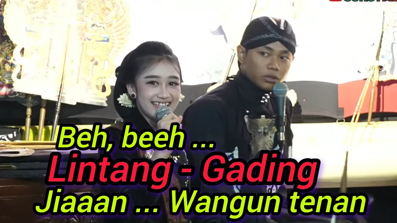 Beh, beeh ... Lintang - Gading, jiaaan ... Wangun tenan.