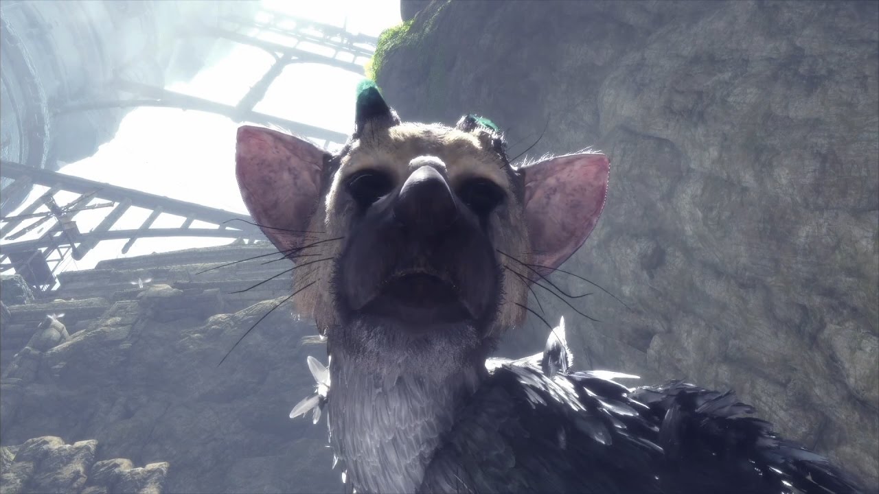 《The Last Guardian：食人巨鷹 TRICO》Pt . 1