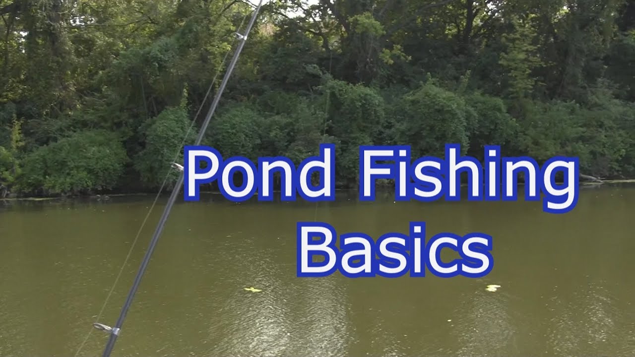 How to Fish a New Pond- Tips, Techniques, and Setups