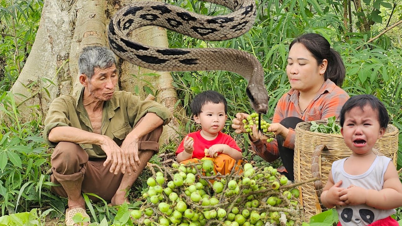 Full video of 90 days of daily life of a single mother and the old man - life in the highlands