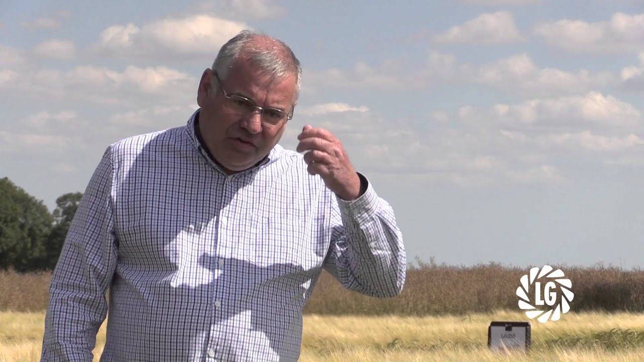Breeding Spring Barley for End-Markets and Growers