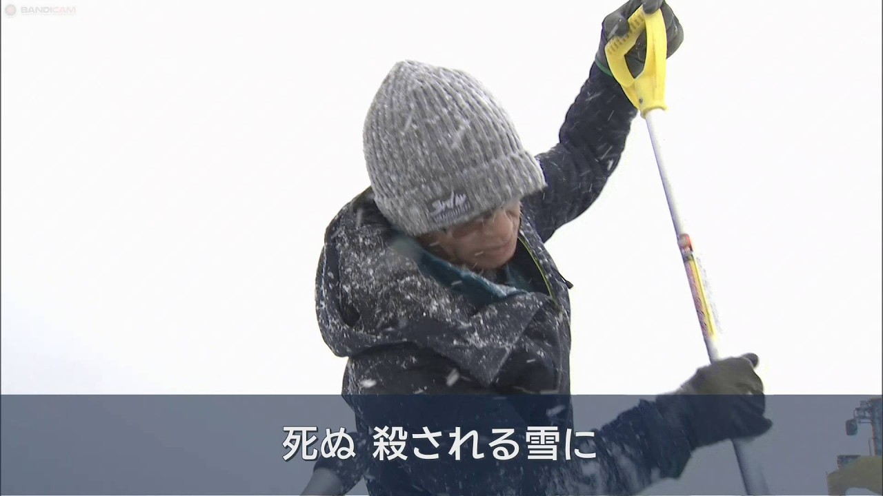 【青森県】　県内８日も荒れた１日に　「死ぬ。殺される、雪に」青森市民から悲鳴も（2026年2月8日放送）