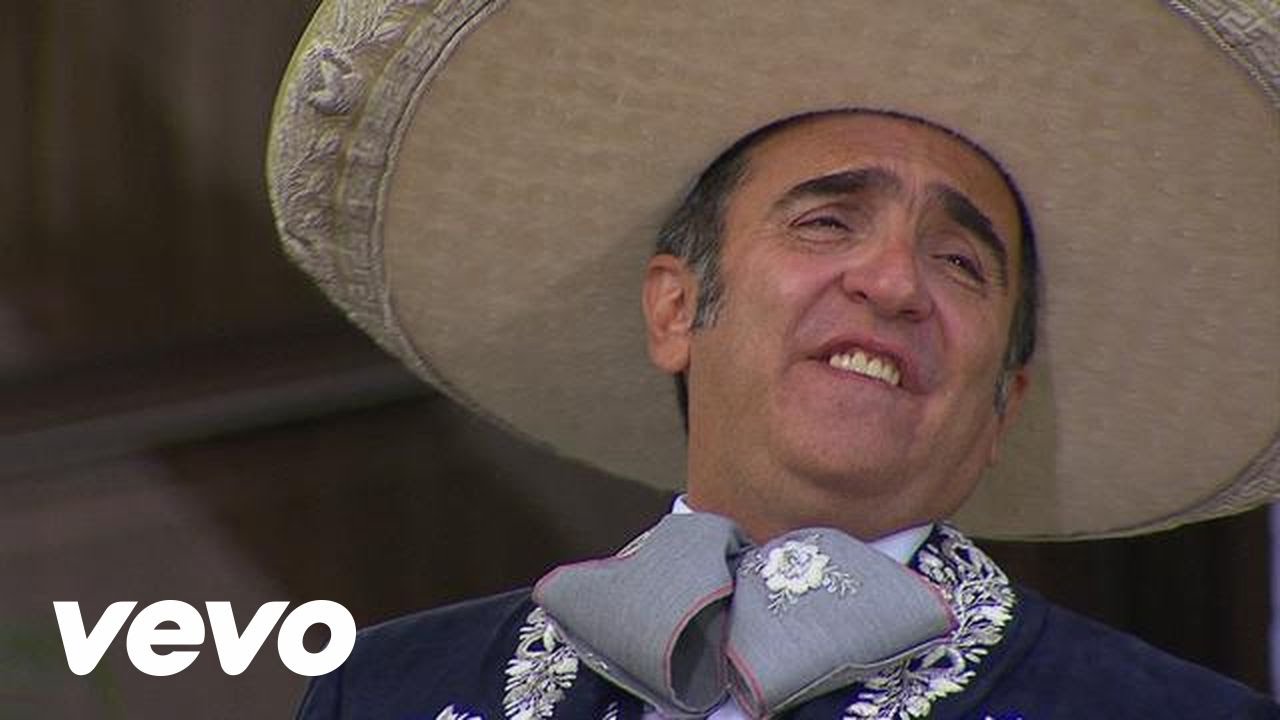 Vicente Fern&aacute;ndez Hijo - Sin Ella