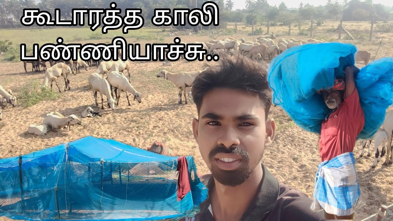 🥺🌴மழை காலம் முடிந்துவிட்டது... ⛈️வெயில் காலத்தை எதிர்கொள்ள தயாராகிவிட்டோம்🌝#lifestyle #trending#goat