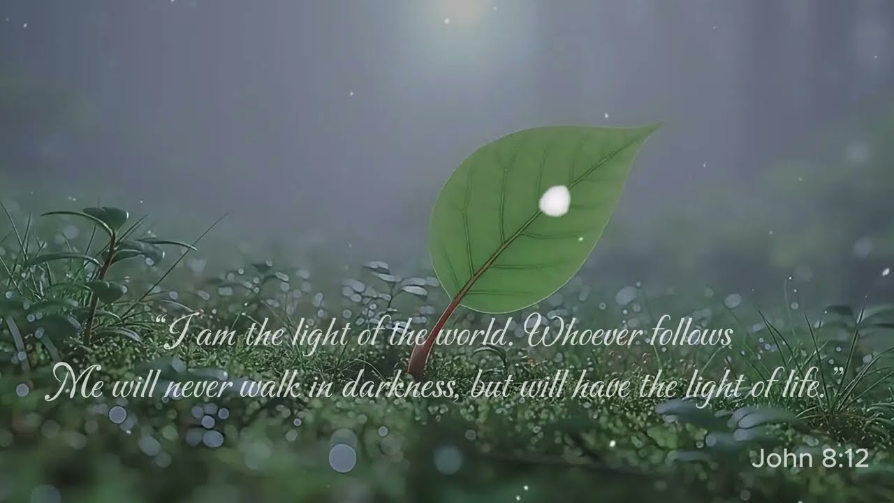 Where Light Meets Green- Pray of GOD Amen