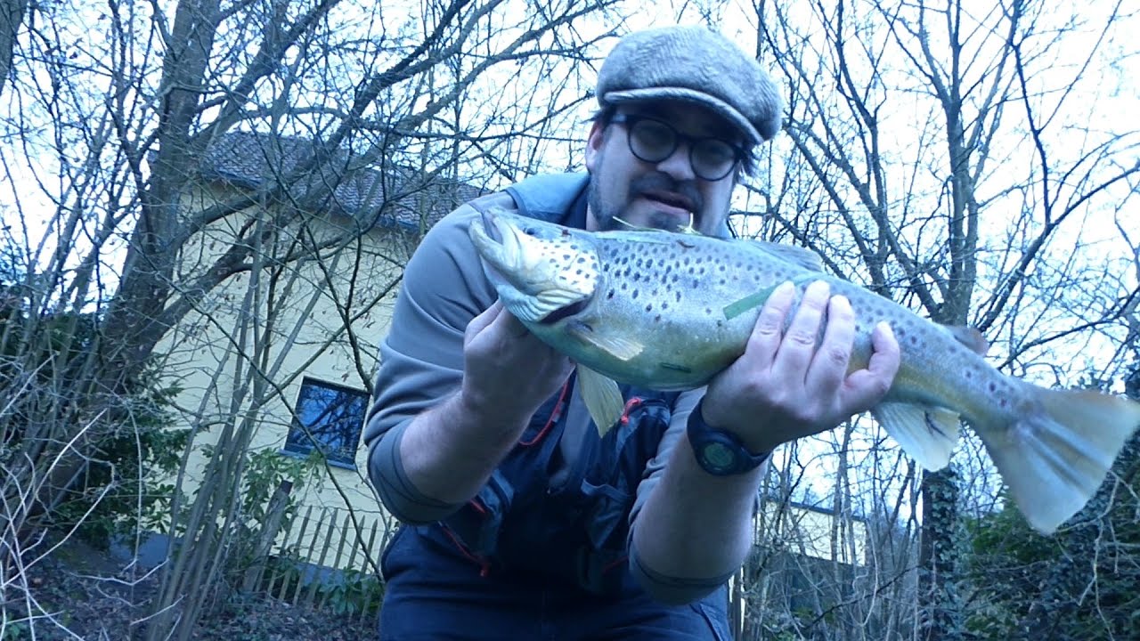 2. Forel in Vlaanderen: Een persoonlijk record :-)