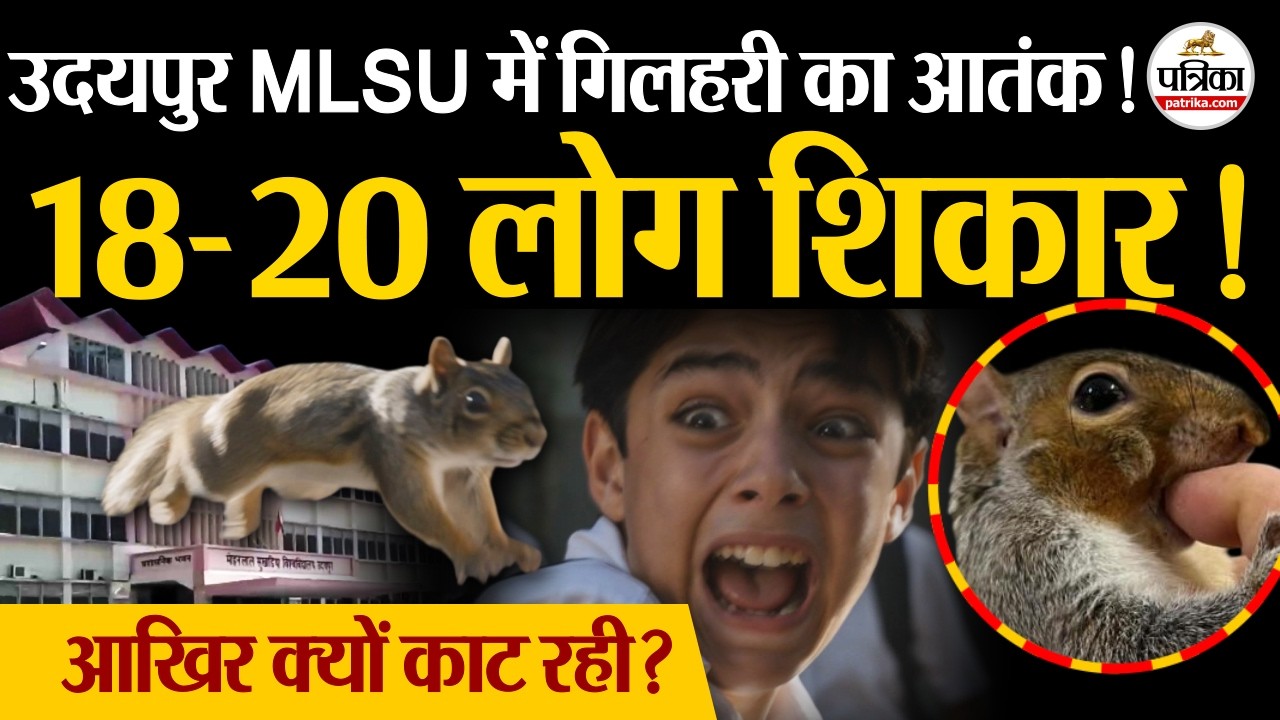 Mohanlal Sukhadia University में गिलहरी क्यों हो रही है आक्रामक? Udaipur MLSU News