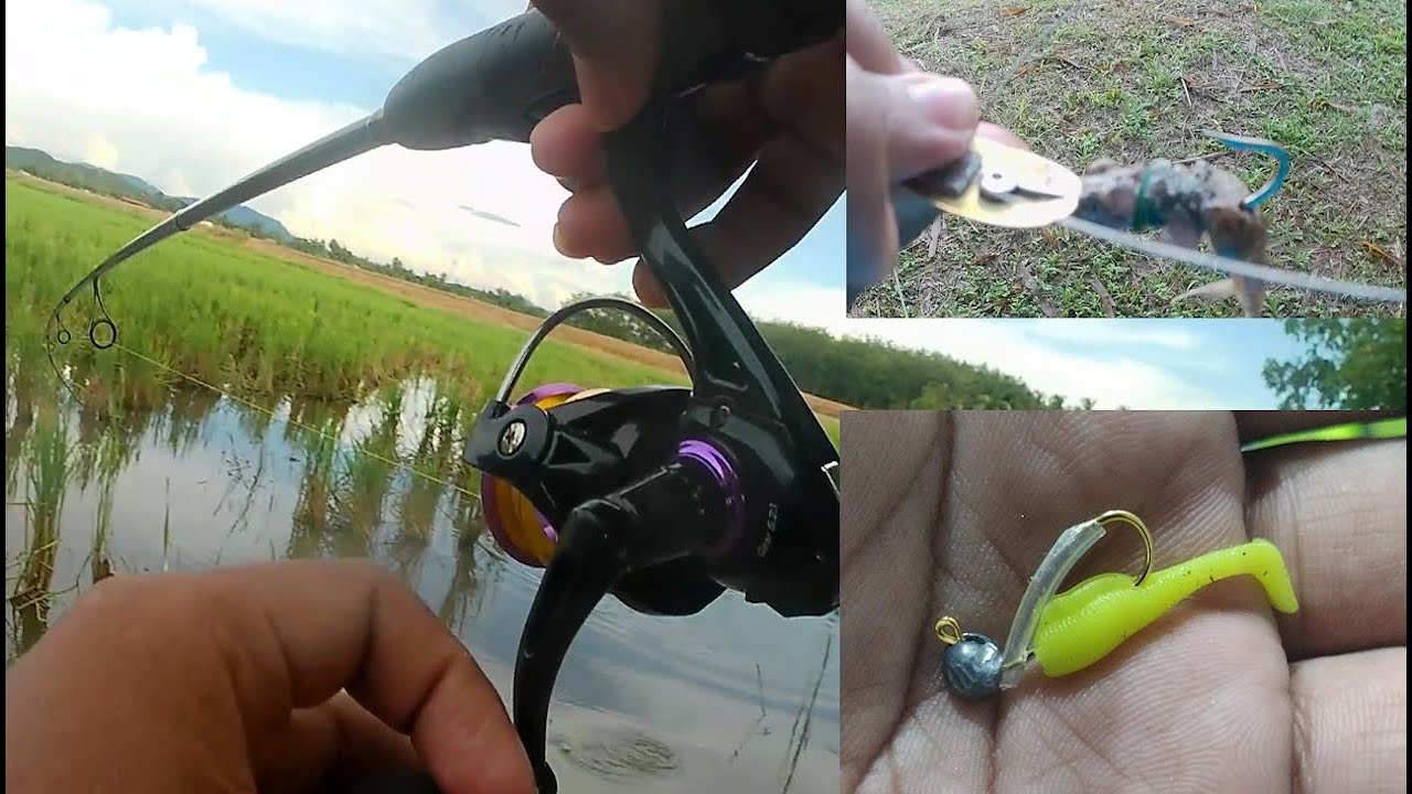 Unique Snakehead fishing in paddy field with weird lure (Northern Malaysia-style snakehead fishing)