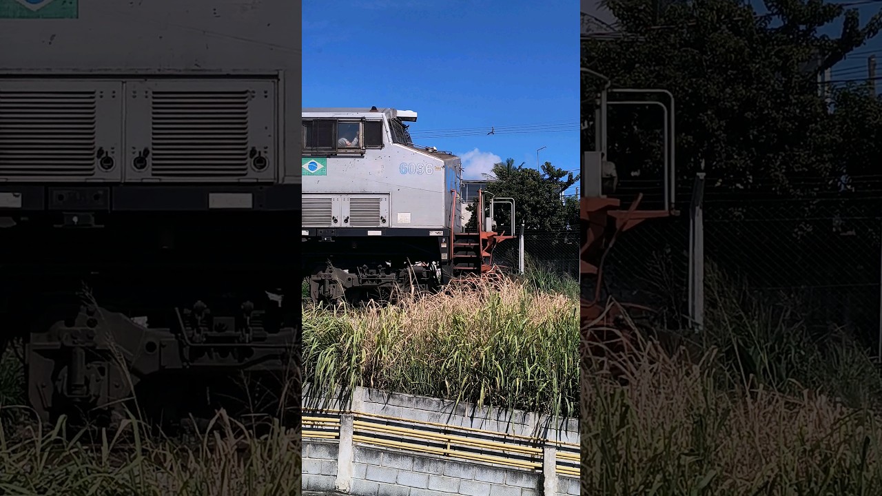 ESCOTEIRAS DA VLI E VALE #vale #vli #locomotivas #locomotiva #viral #trem #dash #railway #shorts