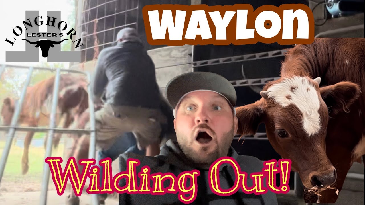 Welcome Home Waylon