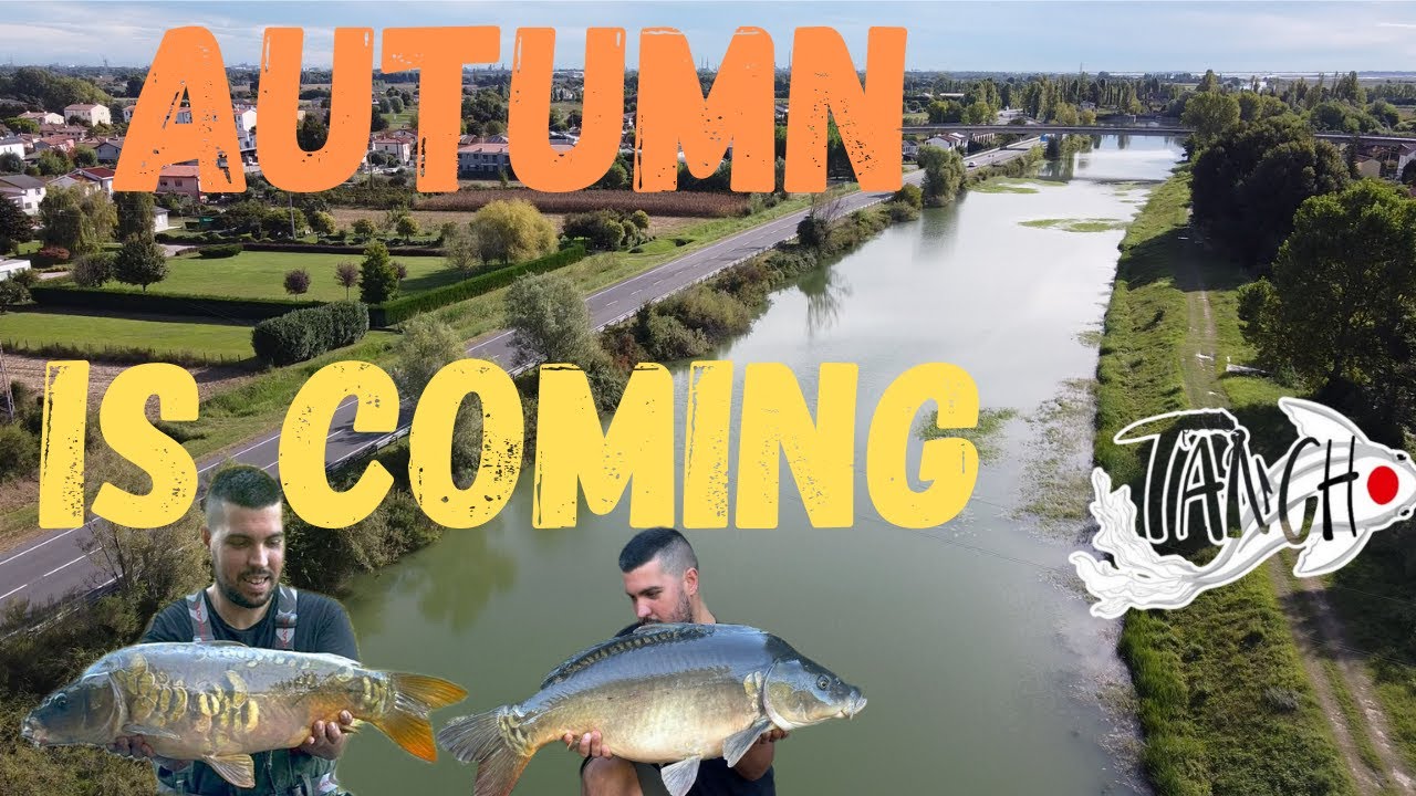 CARPFISHING Arriva la stagione migliore dell'anno