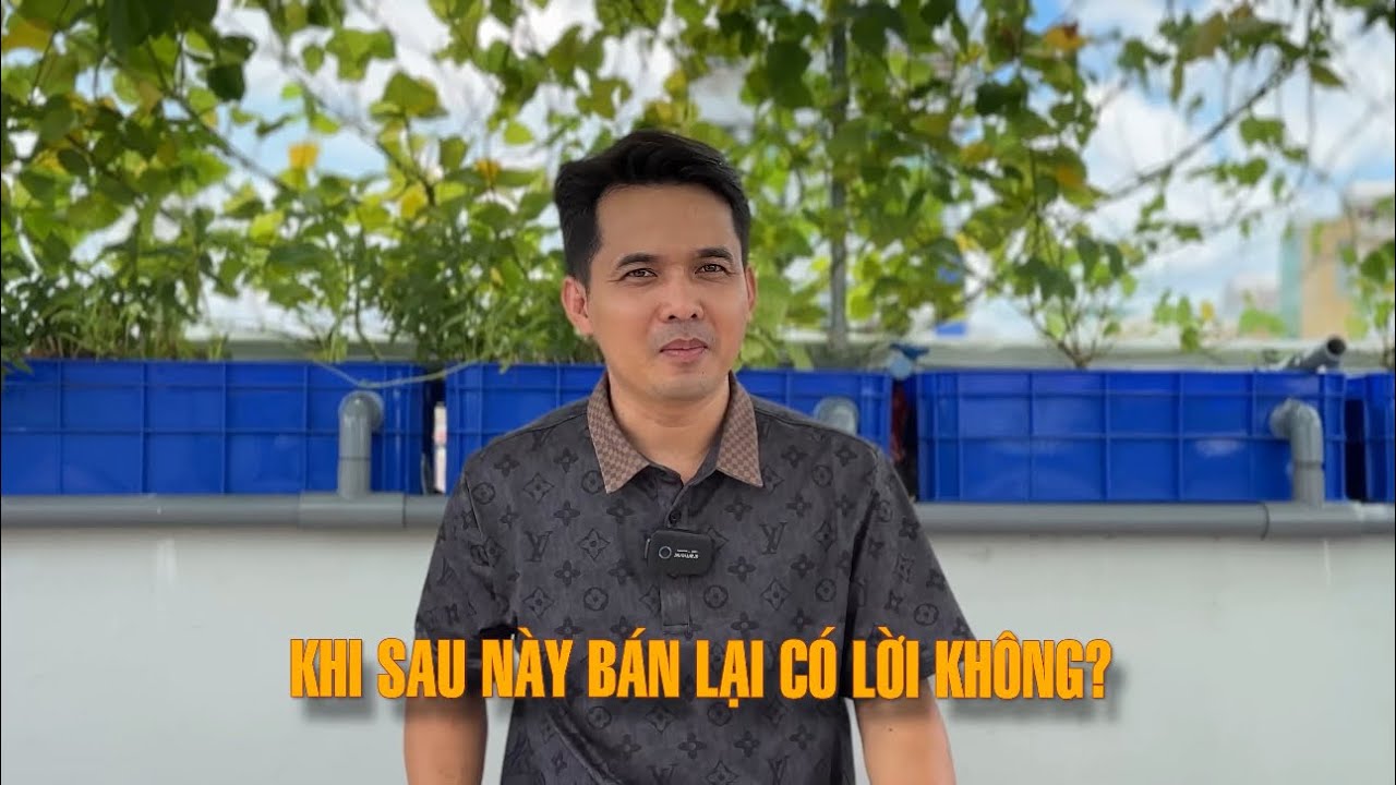 Ở môn chơi C.Á RỒNG, người chơi, nuôi cá, có sinh lời được không ? Làm thế nào để có lời ở môn này 