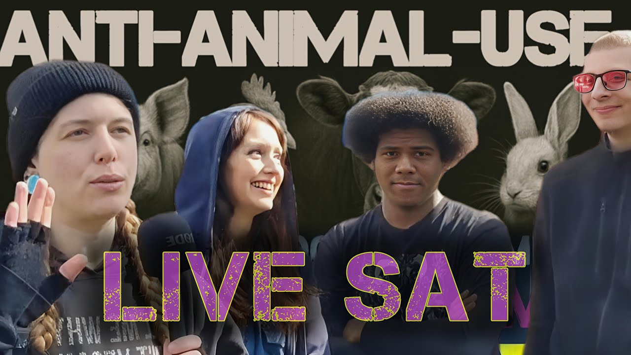LIVE: We Ask Strangers To Explain Their Moral Line (Street Interviews)