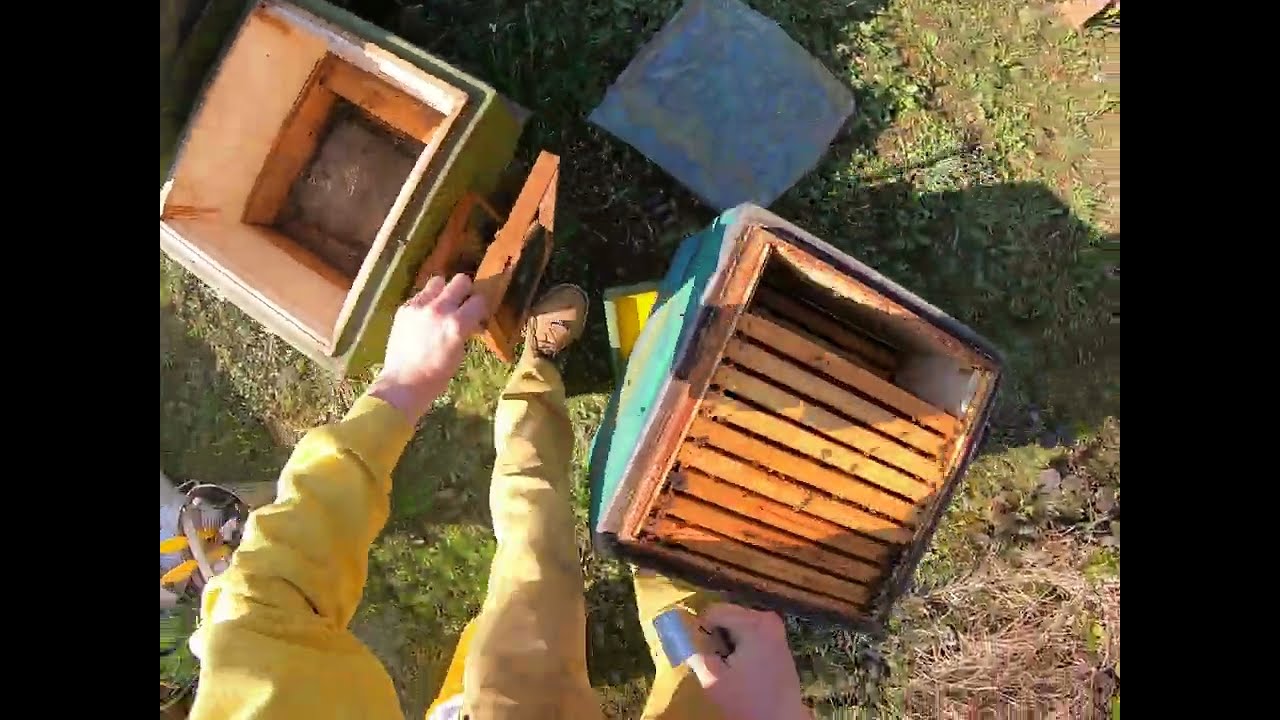 Erste Bienenkontrolle am 21. März 2022 - Vorbereitung der Bienenvölker auf die Saison