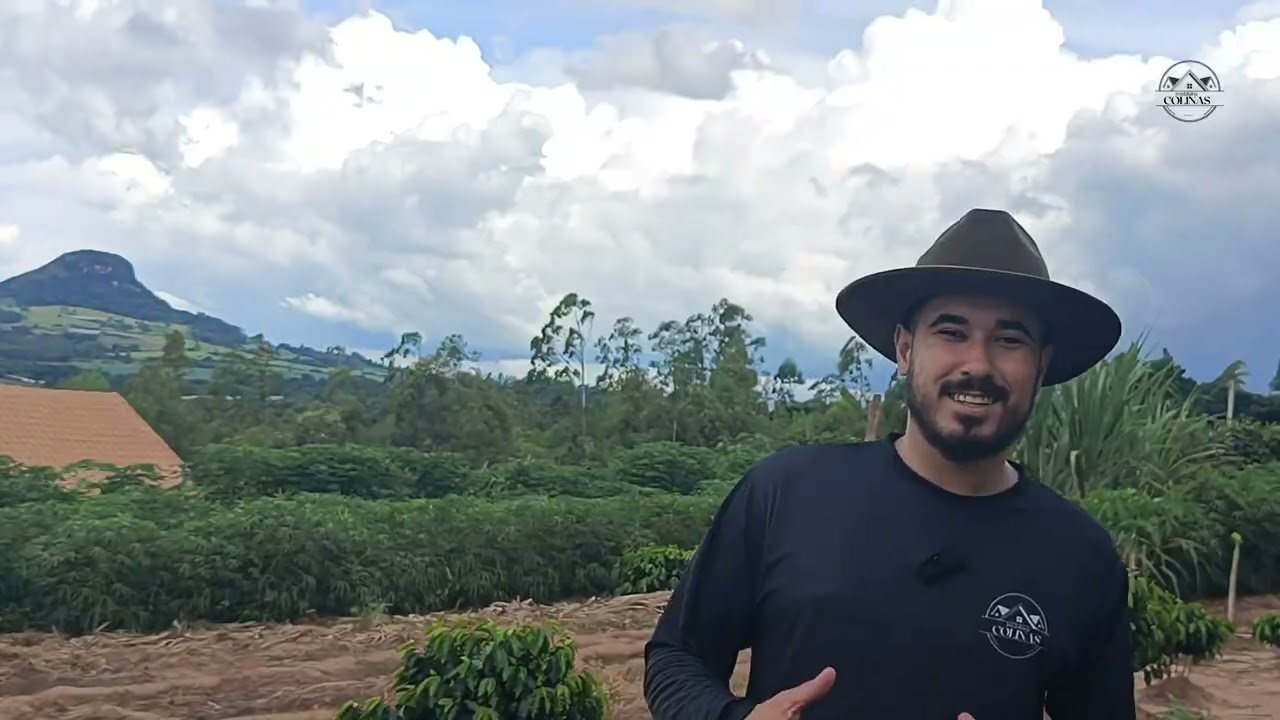 MINI CHÁCARA RICA EM FRUTAS NO MUNICÍPIO E IBAITI - PARANÁ