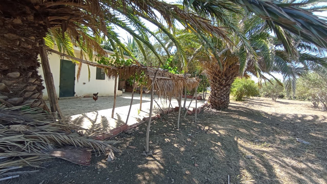 فيرما محفضة رائعة🏡مساحة5421مترعلى الطريق الرئيسية💯مابين طنجة تطوانمنطقة كروشي بلانكو0703640826طنجة😍