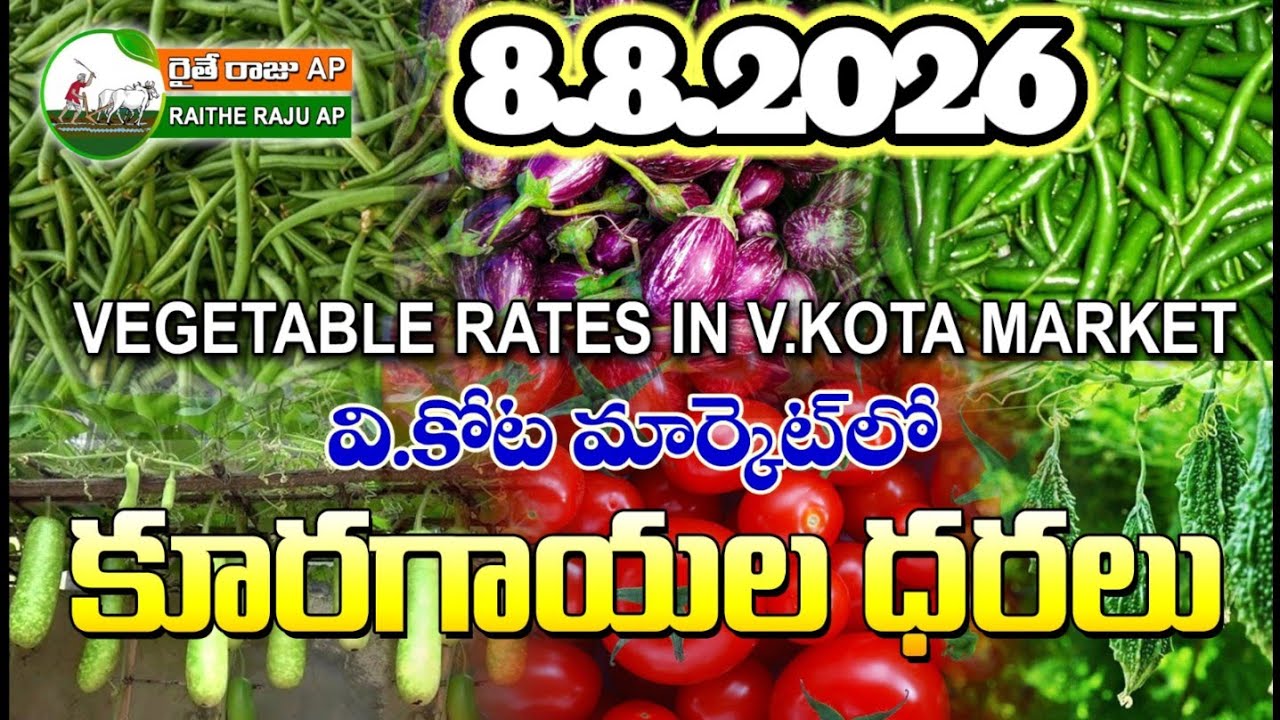 #AMC V.KOTA TODAY BEANS PRICE IN MARKET #ALL VEGETABLE PRICES #marigold 