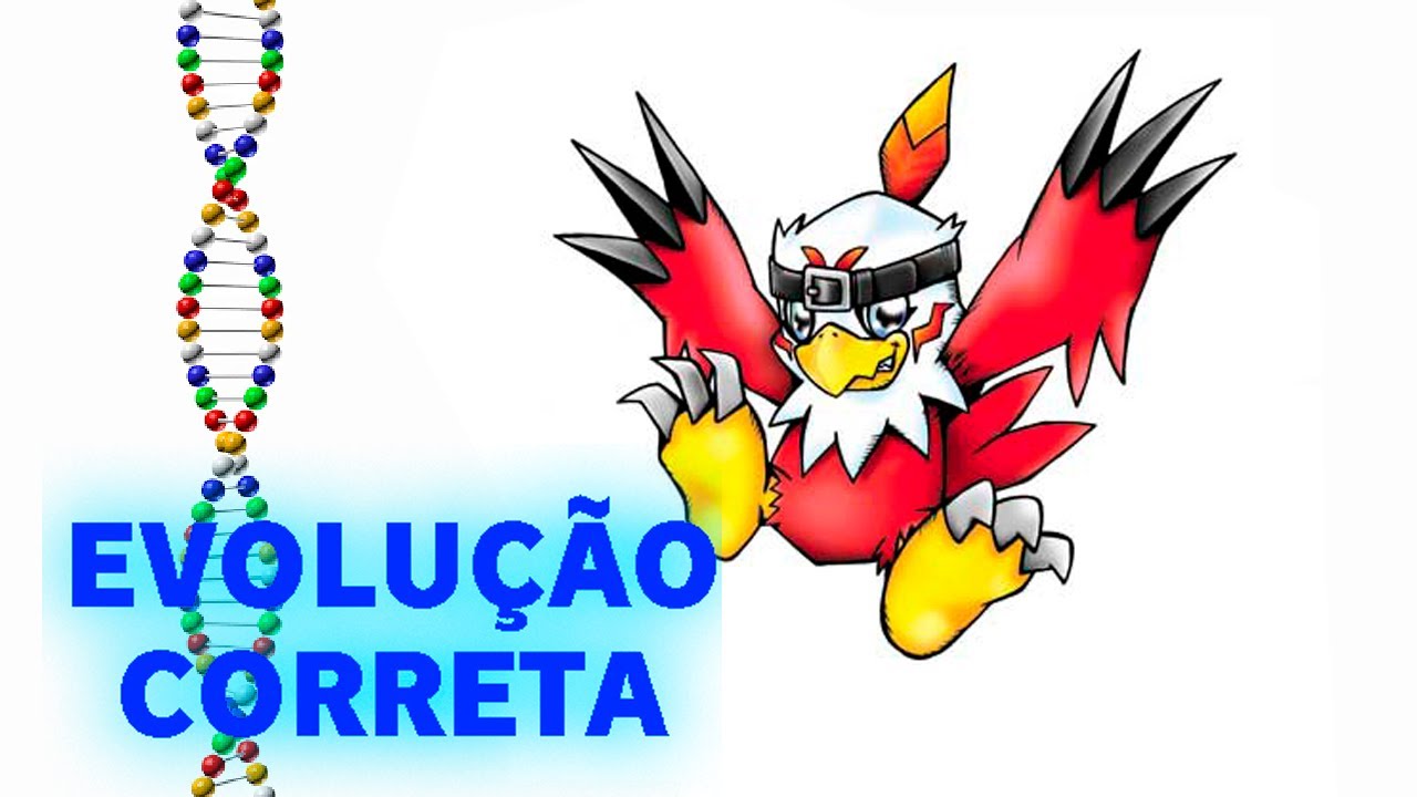 Hawkmon - Evolução Correta