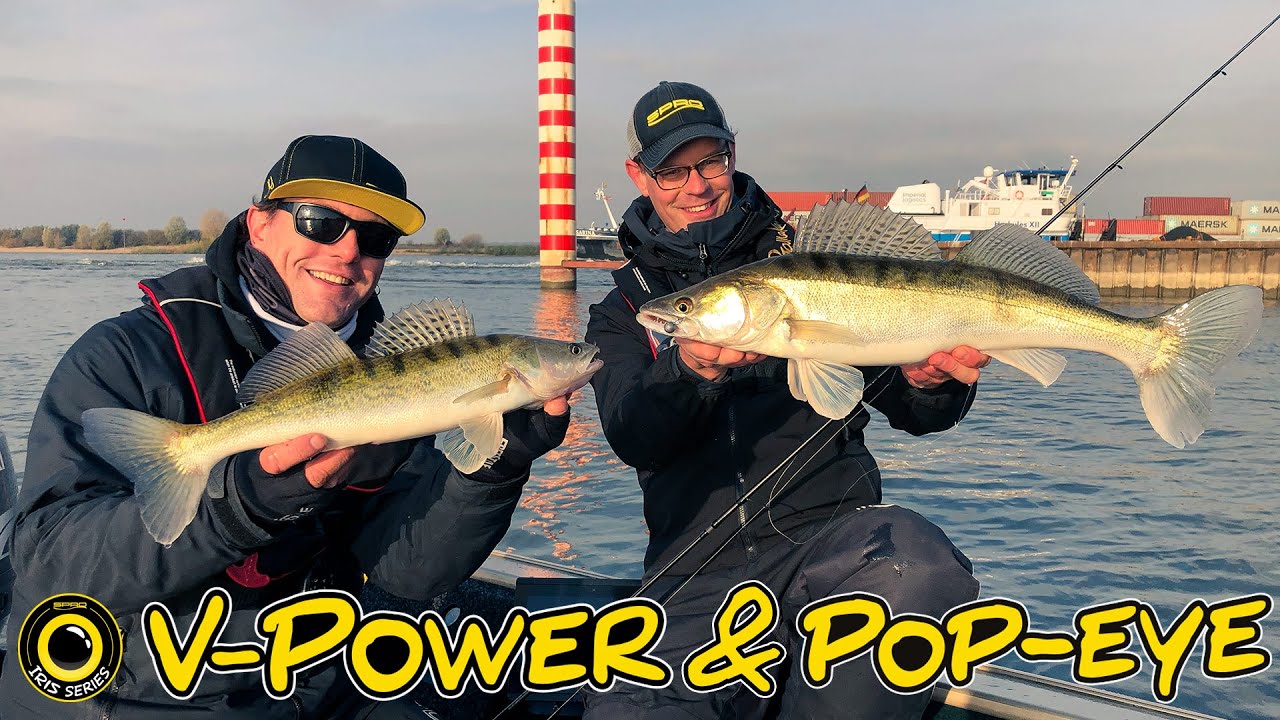SPRO - IRIS Popeye & V-Power - On a big Dutch river