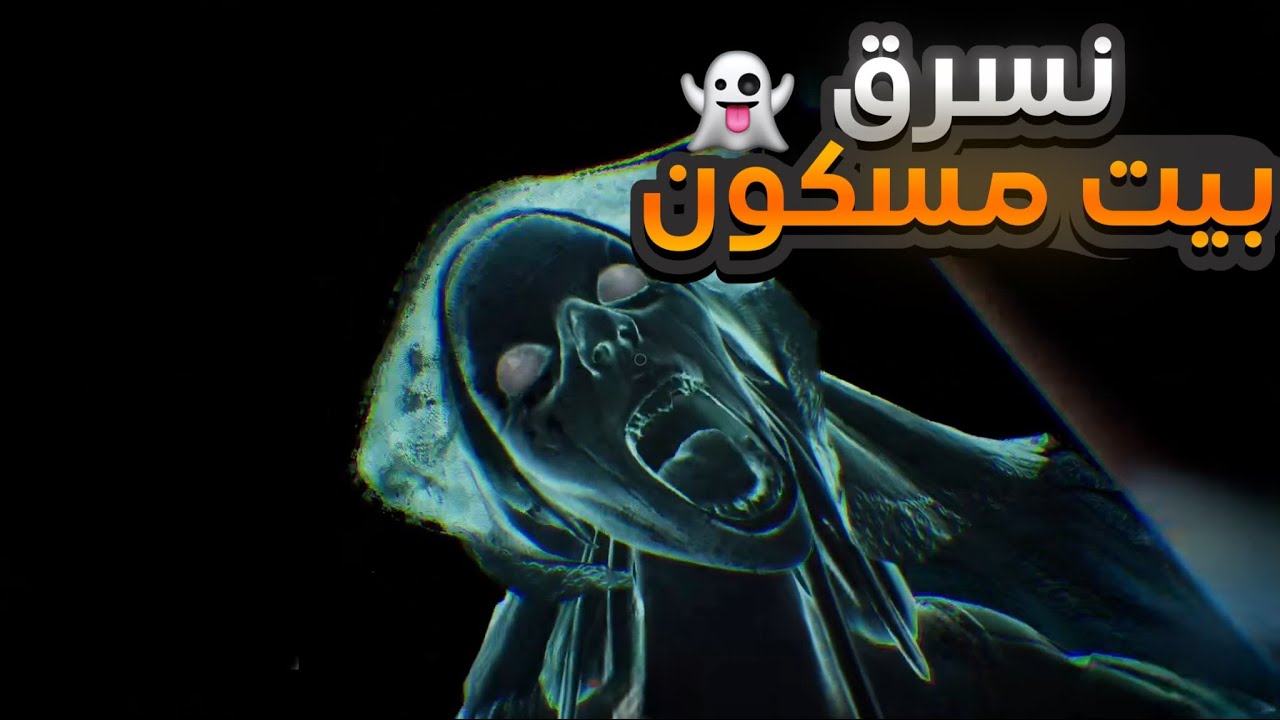 افشل حراميه ممكن تشوفهم في حياتك