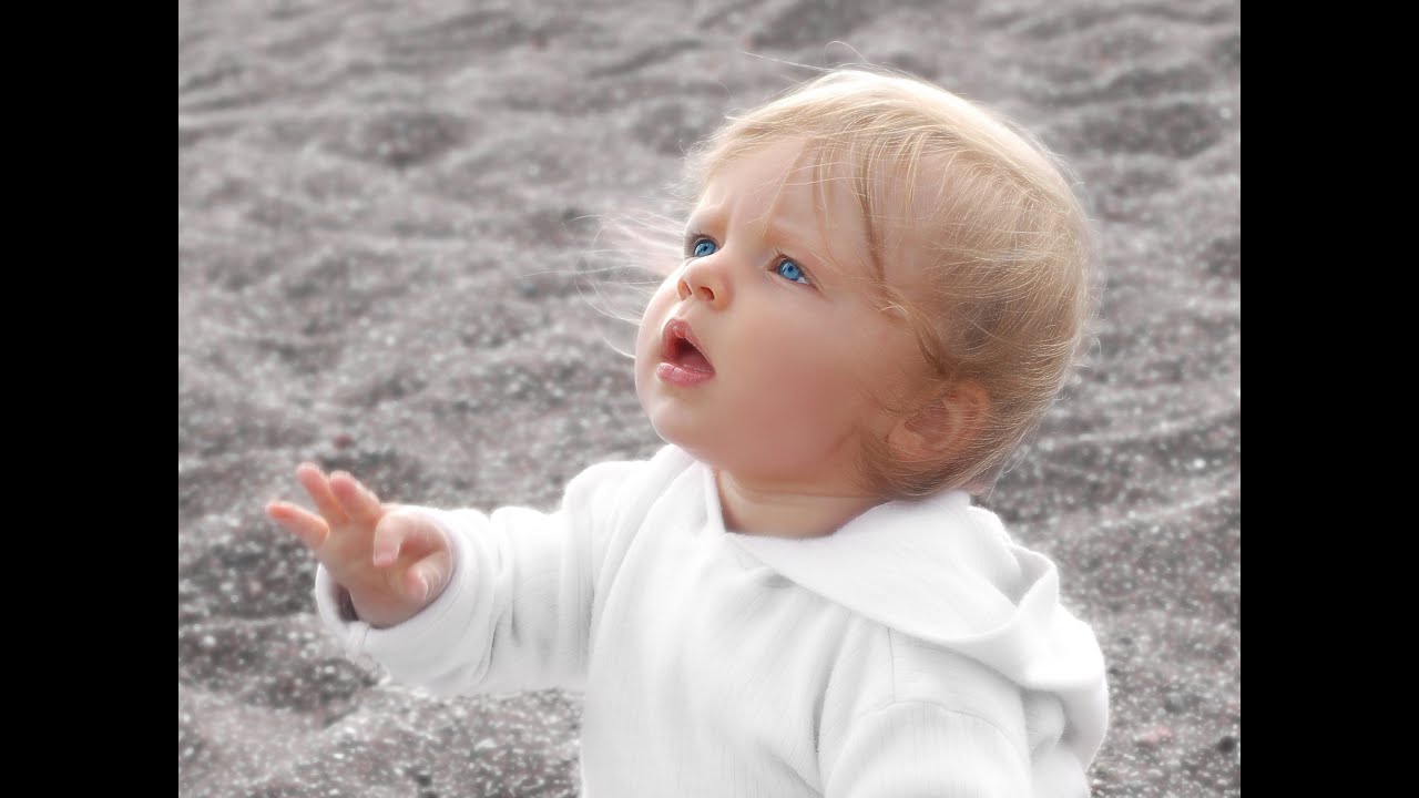 10. hét: Az artériás és vénás rendszer kialakulása.