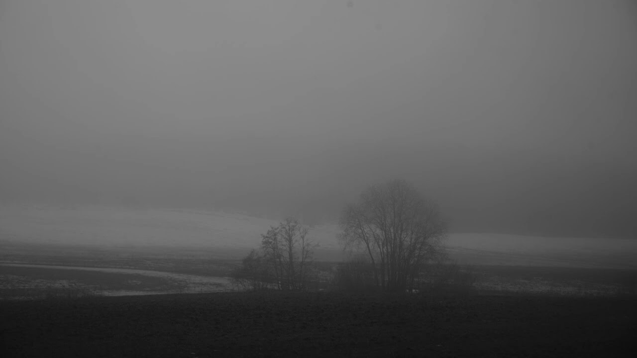 Nocturnal musings