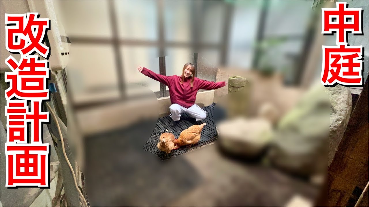 中庭を改造して新たな飼育環境をセッティングしてみた