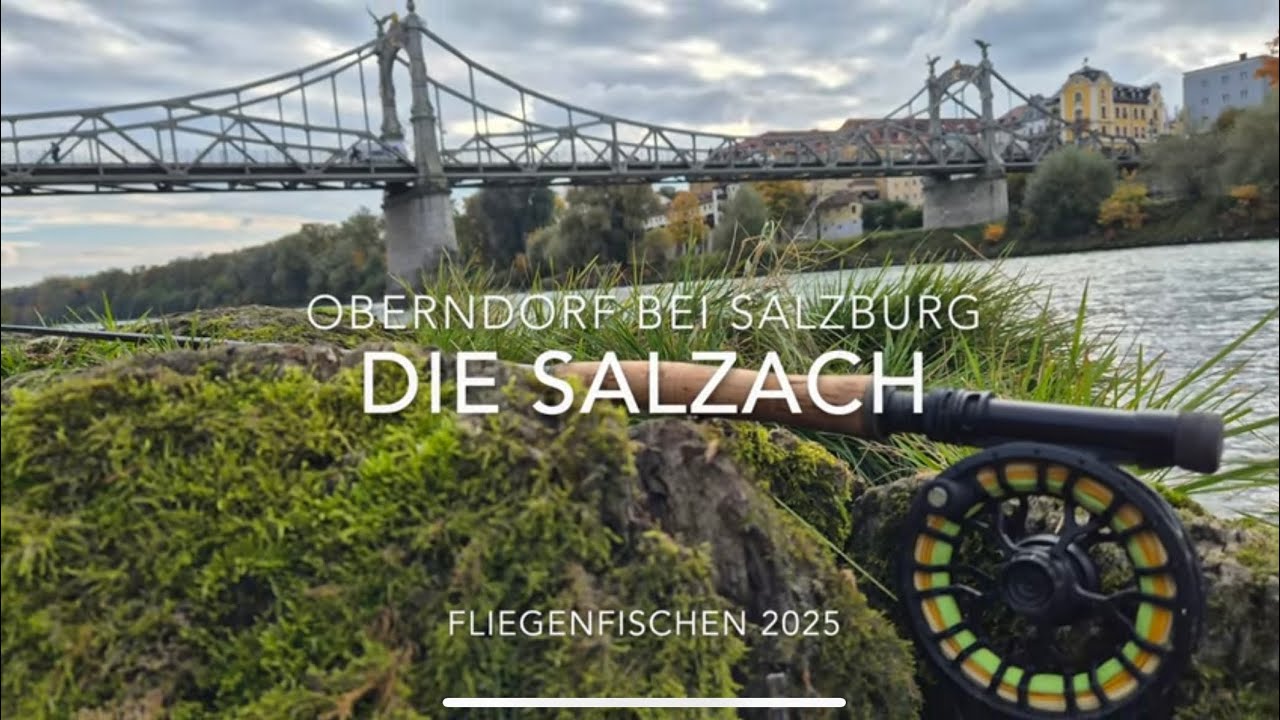 Die Salzach bei Oberndorf- Fliegenfischen 2025