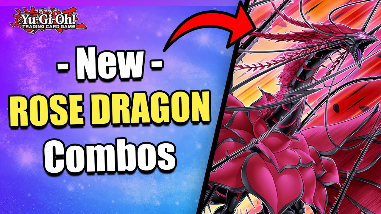 5 MUST KNOW COMBOS! | NEW AZAMINA ROSE DRAGON COMBOS! | POST DOOM OF DIMENSIONS! | Yu-Gi-Oh!