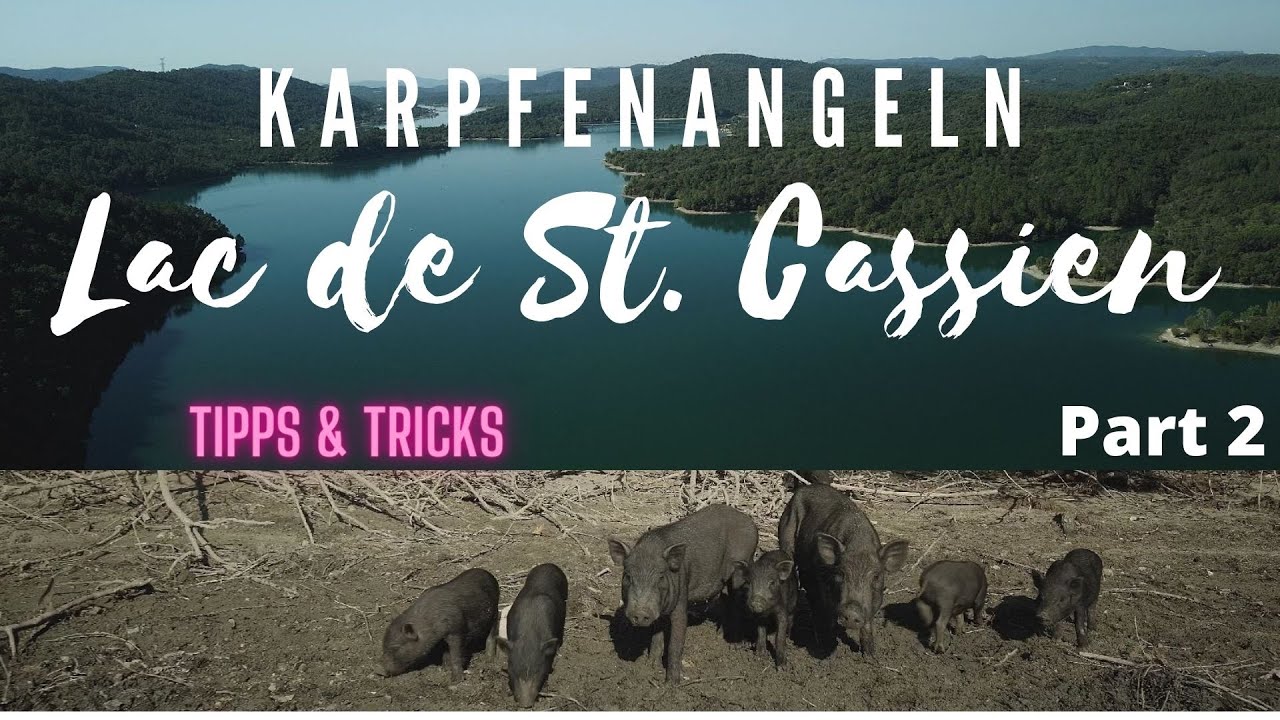 Karpfenangeln am Lac de St. Cassien + Tipps & Tricks - Teil 2