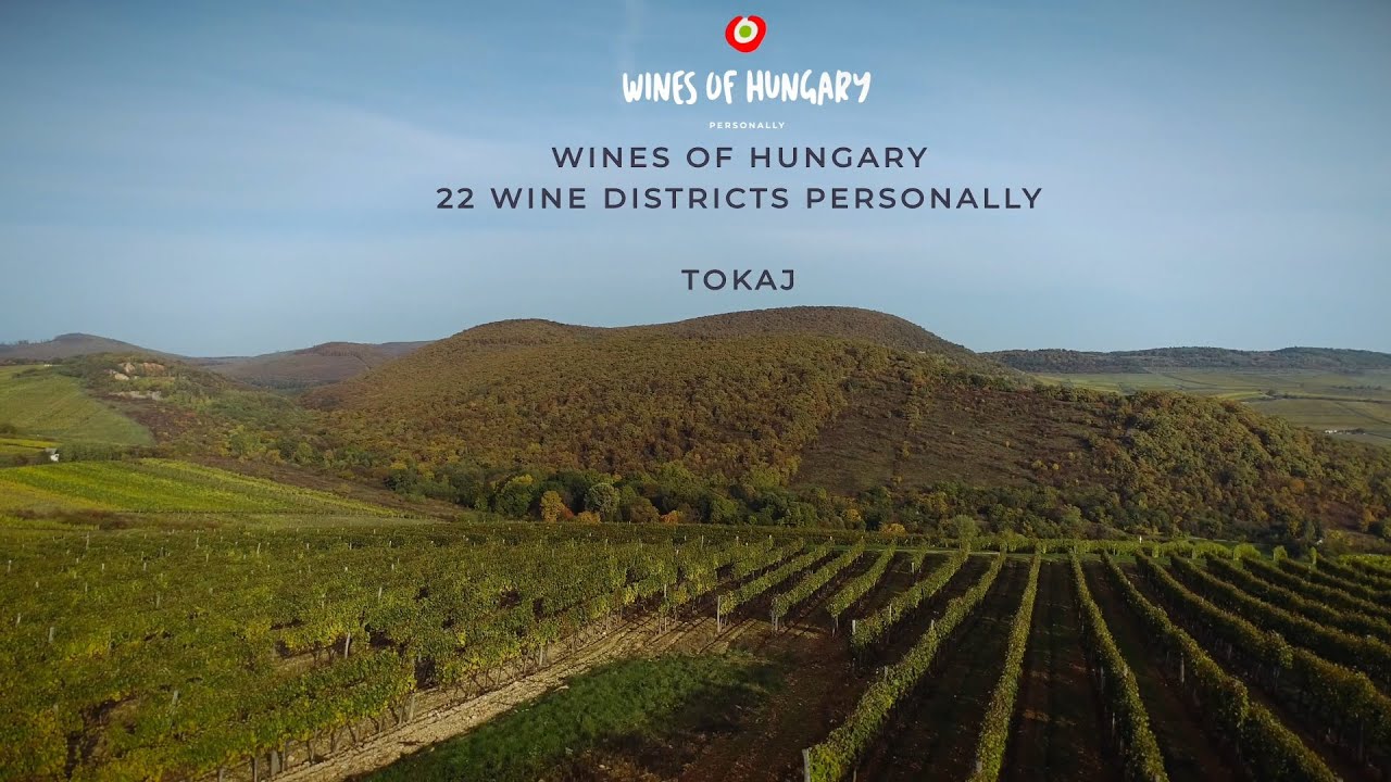 Wines of Hungary - 22 Wine Districts Personally - Tokaj